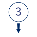 Icon Nummer 3 mit Pfeil nach unten