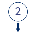 Icon Nummer 2 mit Pfeil nach unten